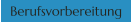 Berufsvorbereitung