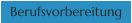 Berufsvorbereitung