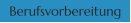 Berufsvorbereitung